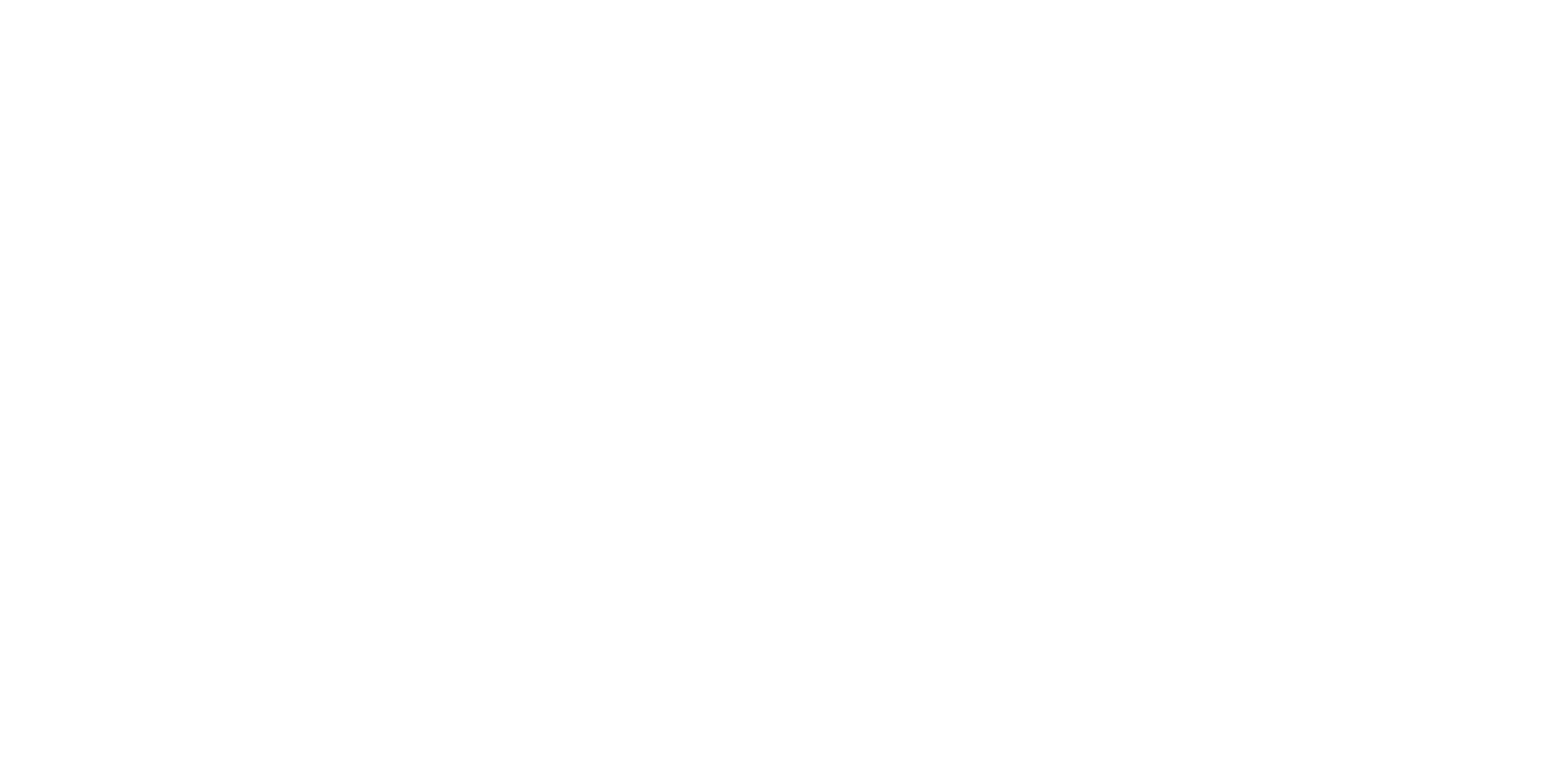 Vieira de Sousa Logo