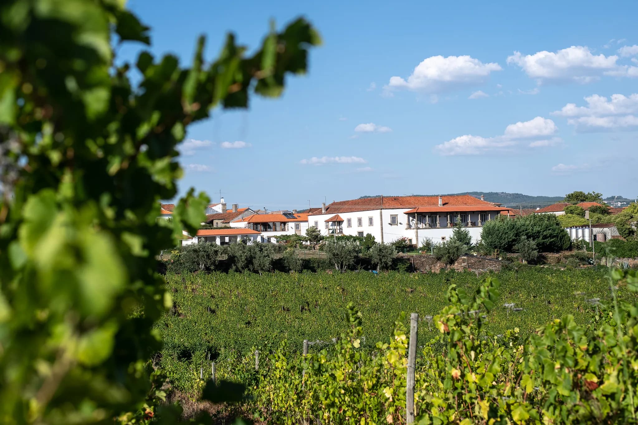 View of Quinta da Fonte with traditional house