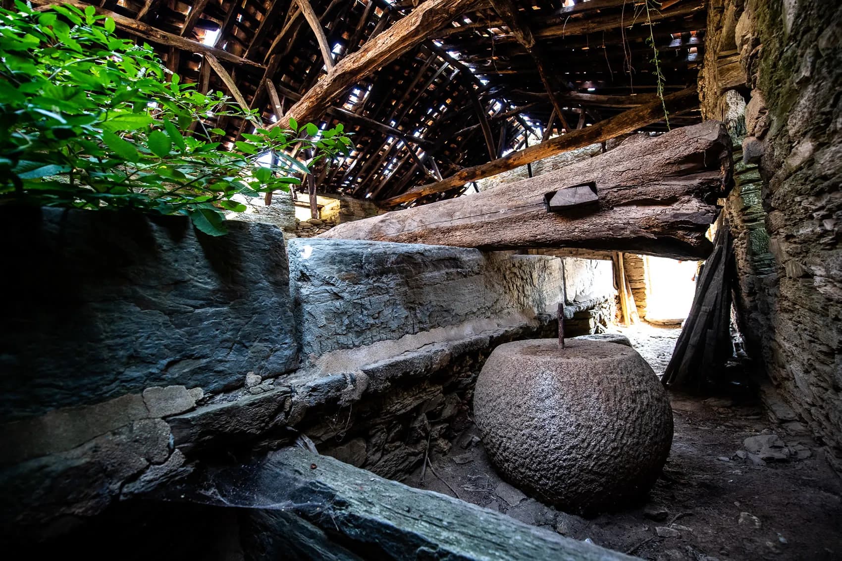 Traditional granite lagar for Porto wine vinification